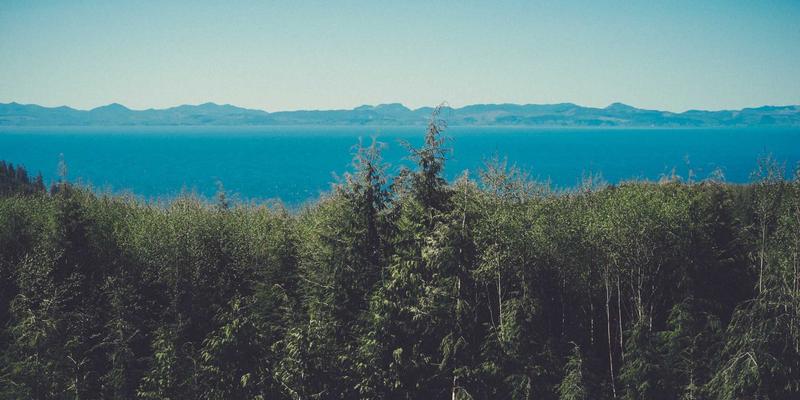 从400G到800G：揭秘超大规模数据中心内部互联的带宽革命与技术深水区