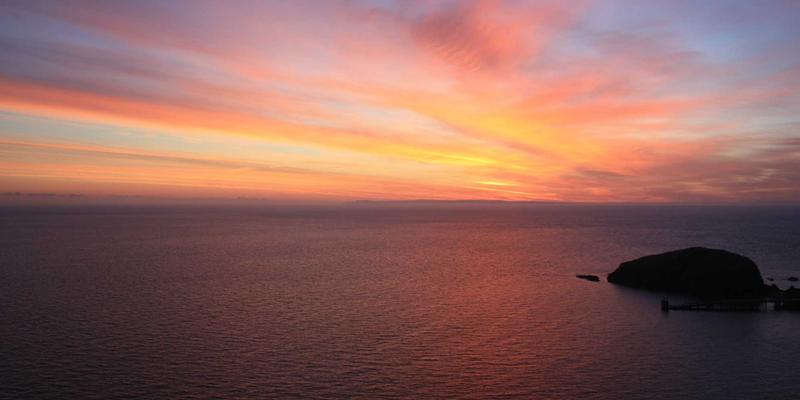 打破牢笼:开放可编程网络设备如何终结数据中心“厂商锁定”时代