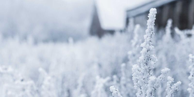 服务网格双雄：Istio与Linkerd如何解耦微服务通信，重塑云原生网络架构